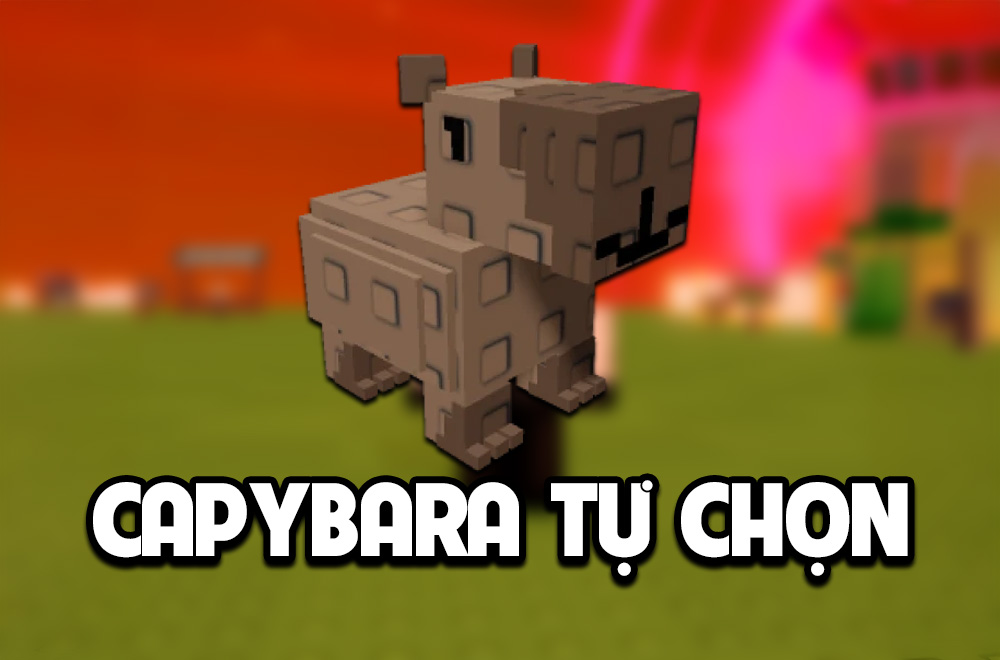 CAPYBARA TỰ CHỌN