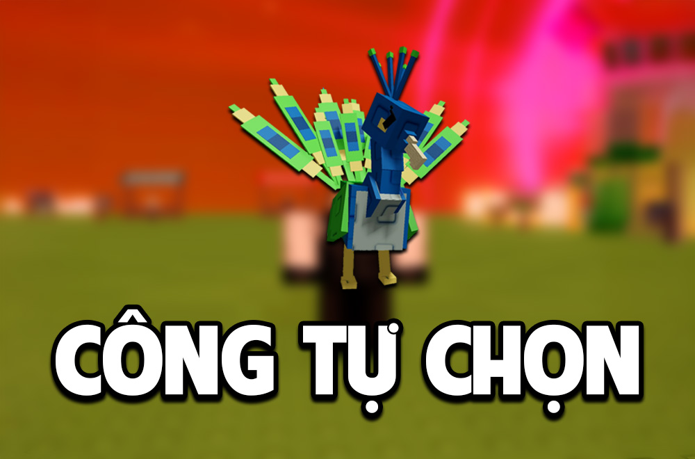 CÔNG TỰ CHỌN