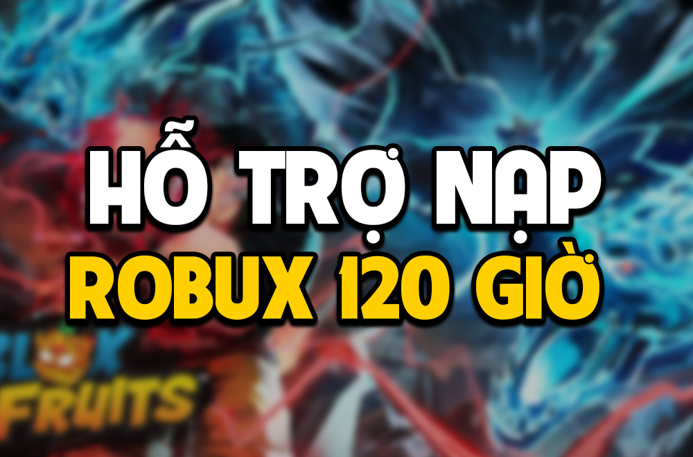 HỖ TRỢ ROBUX 120H