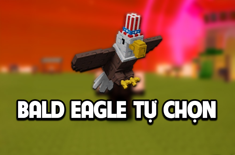 BALD EAGLE (ĐẠI BÀNG) TỰ CHỌN