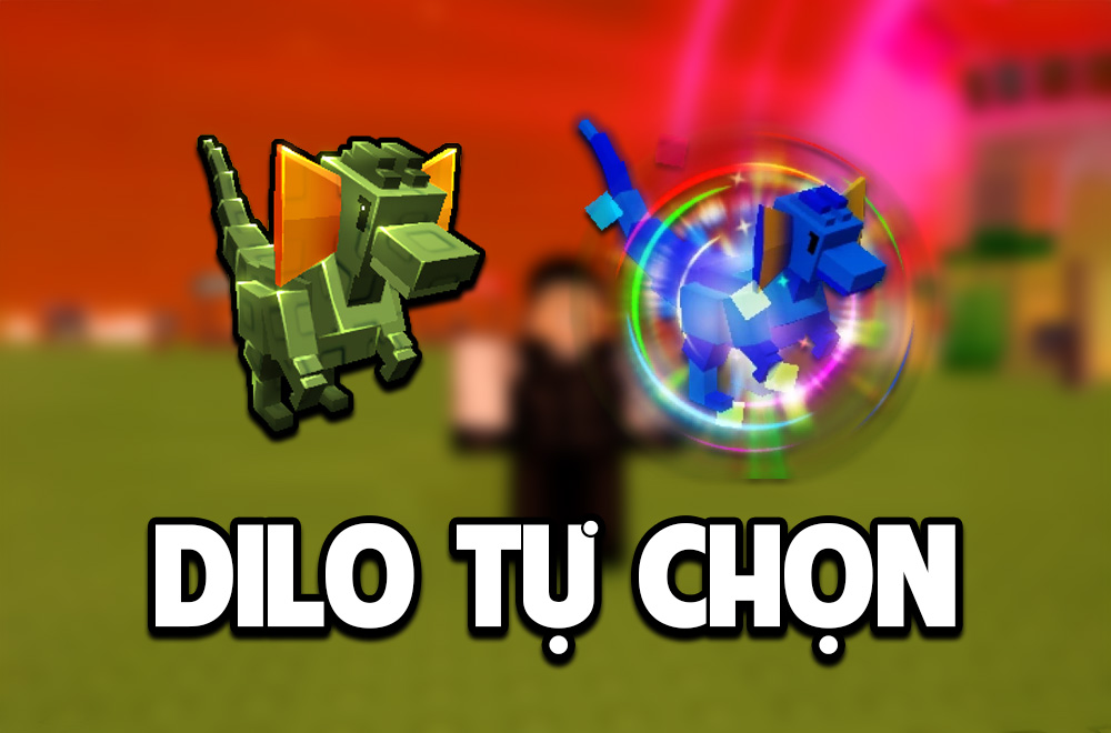 DILO TỰ CHỌN