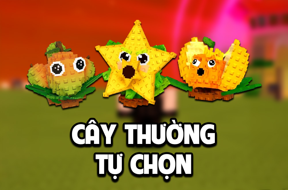 CÂY THƯỜNG TỰ CHỌN