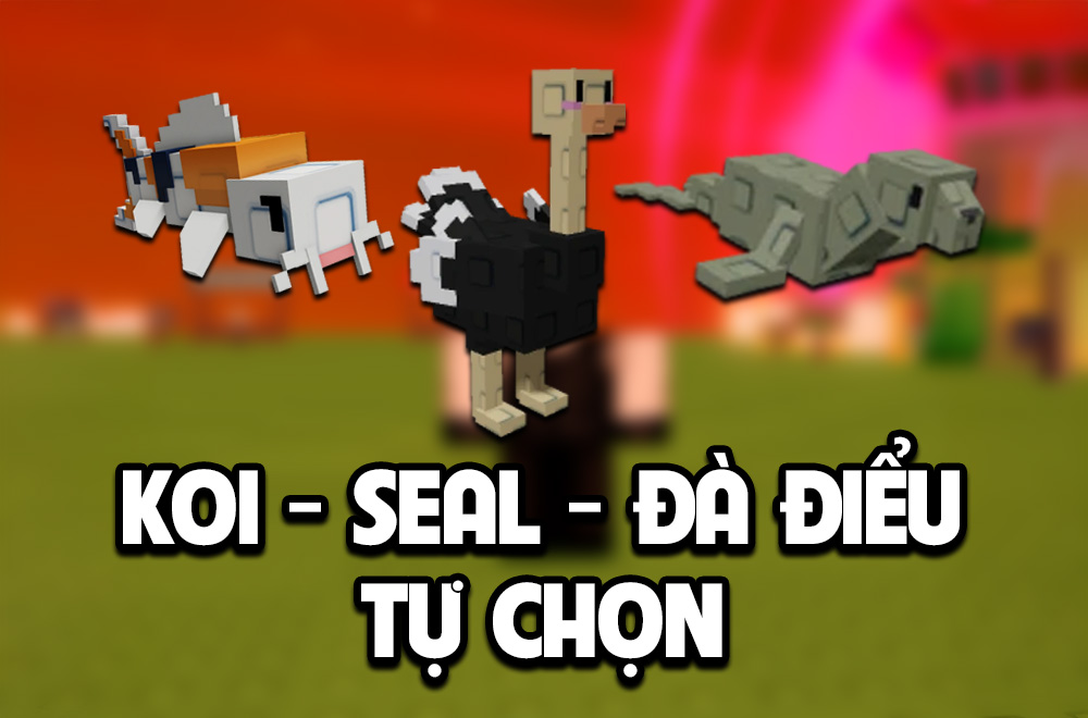 KOI - SEAL - ĐÀ ĐIỂU TỰ CHỌN