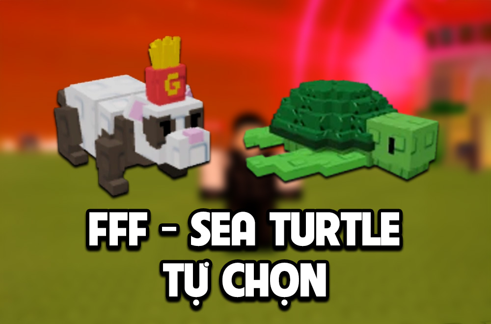 FFF - SEA TURTLE TỰ CHỌN